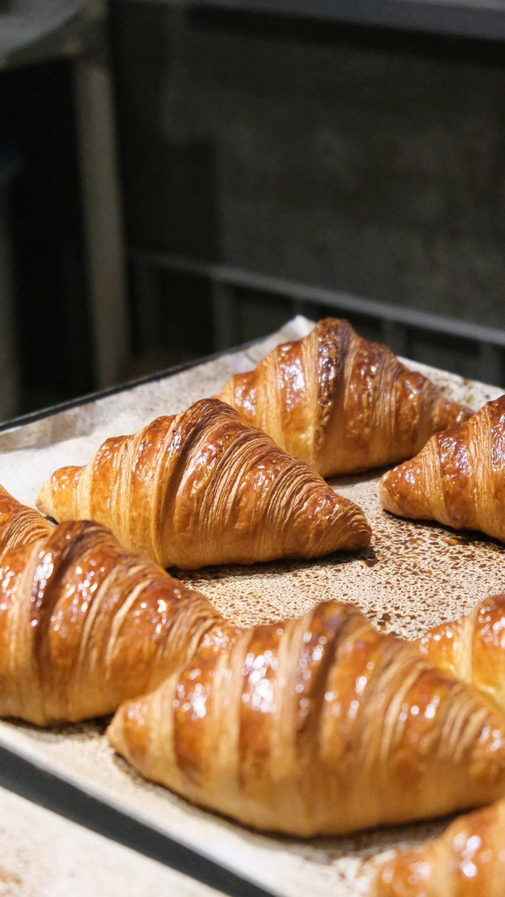 Croissants recién horneados sobre una bandeja